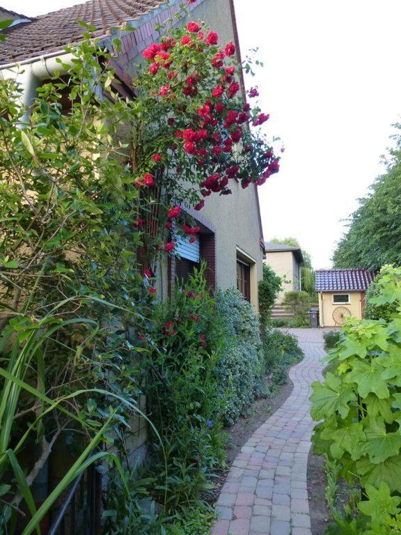 Fewo Abendrot Poel Exterior foto